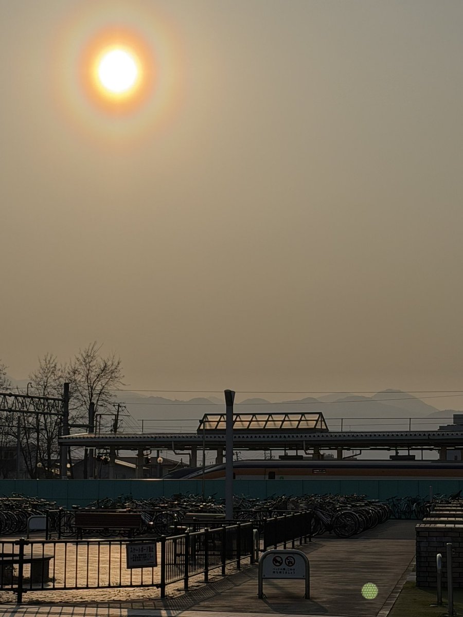 柴田祐太 tweet media