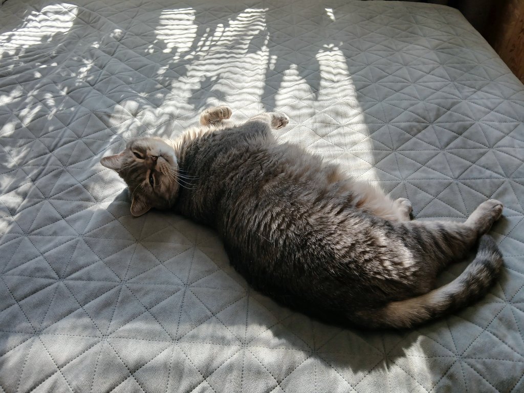 Ania_In_UA tweet media