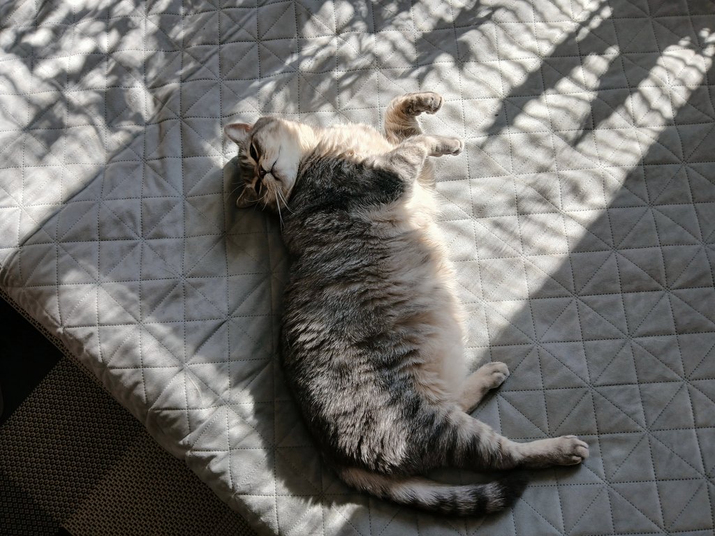 Ania_In_UA tweet media