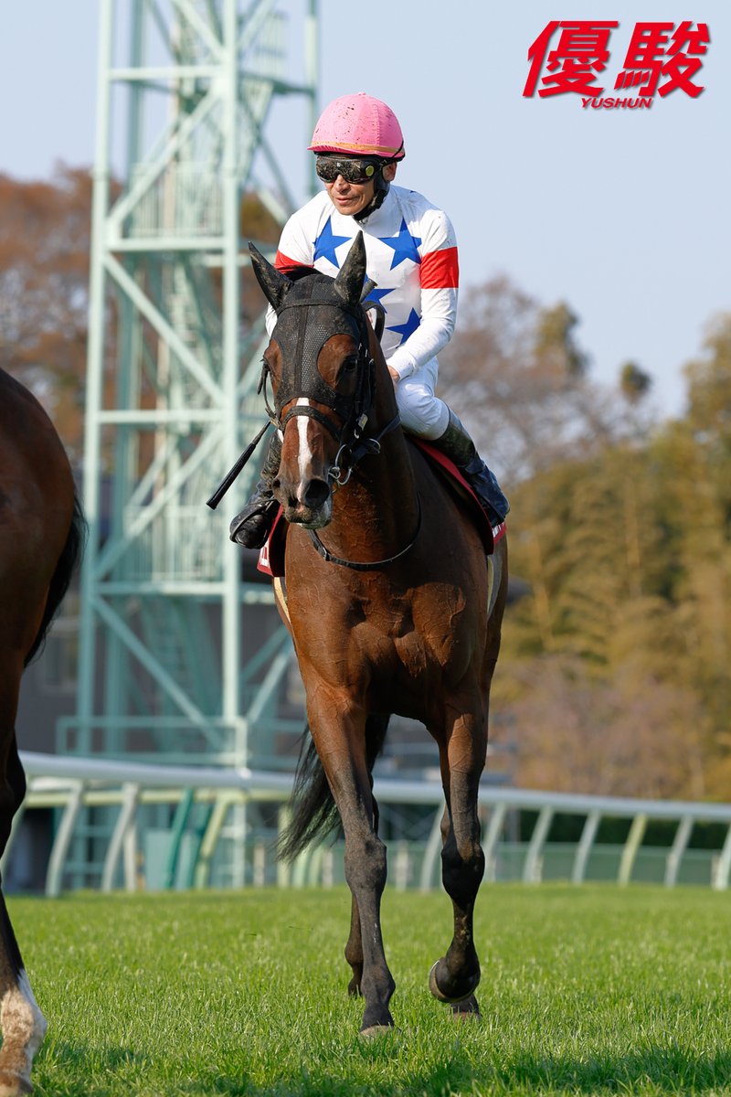 『優駿』編集部 tweet media