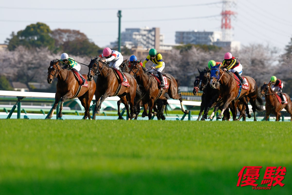 『優駿』編集部 tweet media