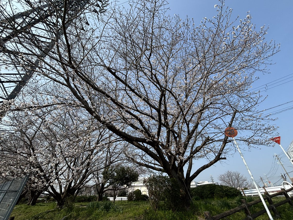 ぺ☆5%増量中 いだ天ウルトラ100k☆ tweet media