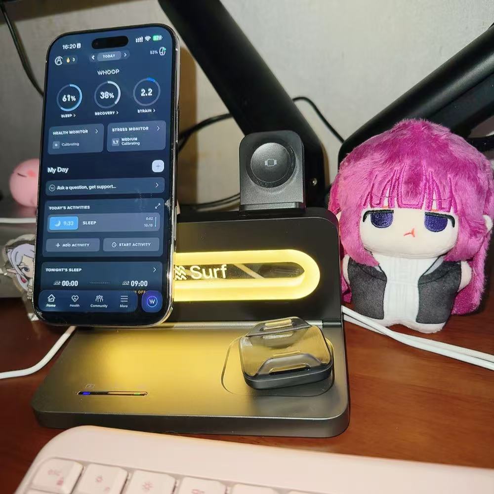 Jingle Bell 初号机 tweet media