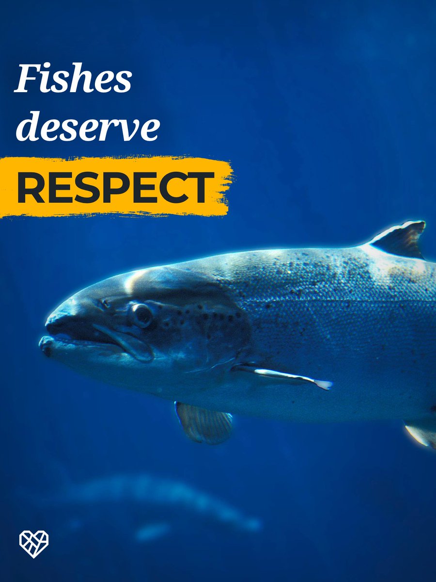 The Humane League UK tweet media