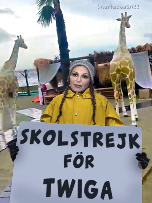 Vanhacker tweet media