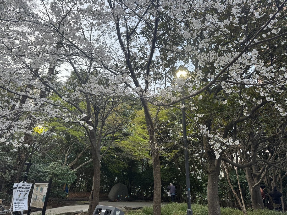 佐々木大志郎|NPO法人トイミッケ tweet media