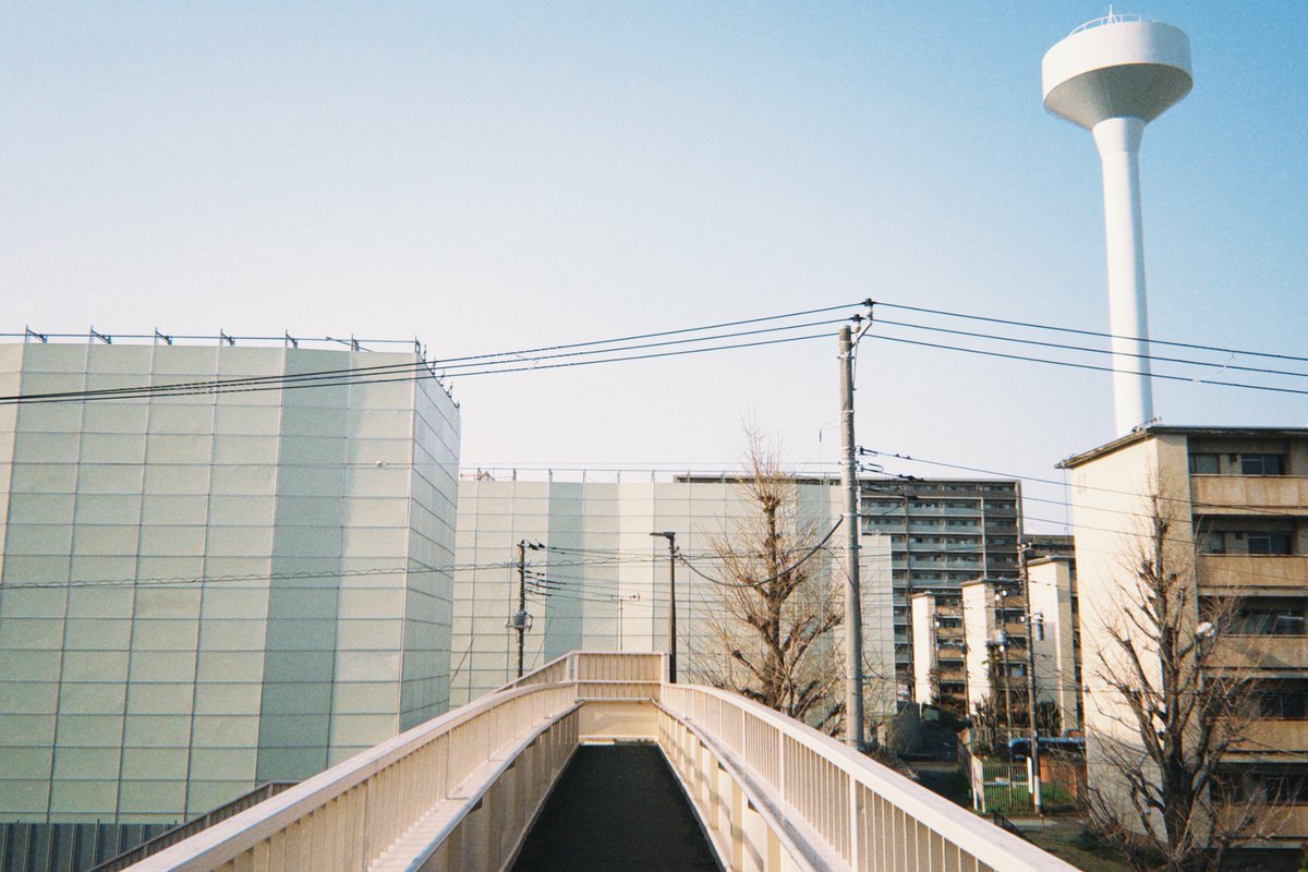 柊🐏僕ラブ49【ニジ51】 tweet media