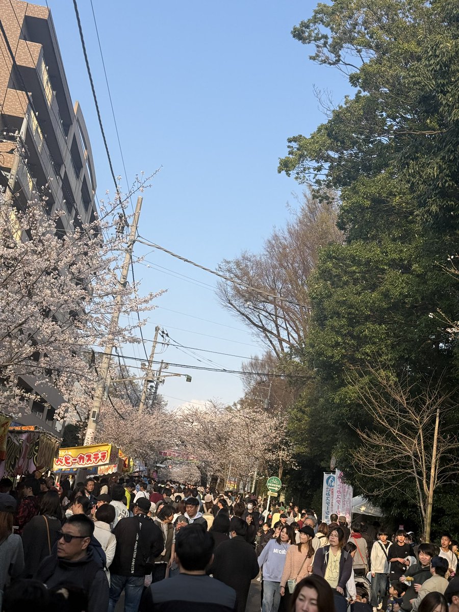 †JING♧JING†(じんじん) tweet media