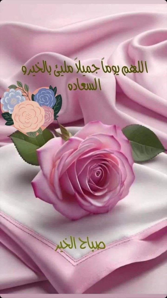 Mahmoud Hashish tweet media