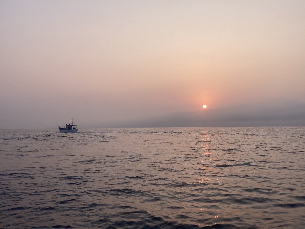 てんおじ tweet media