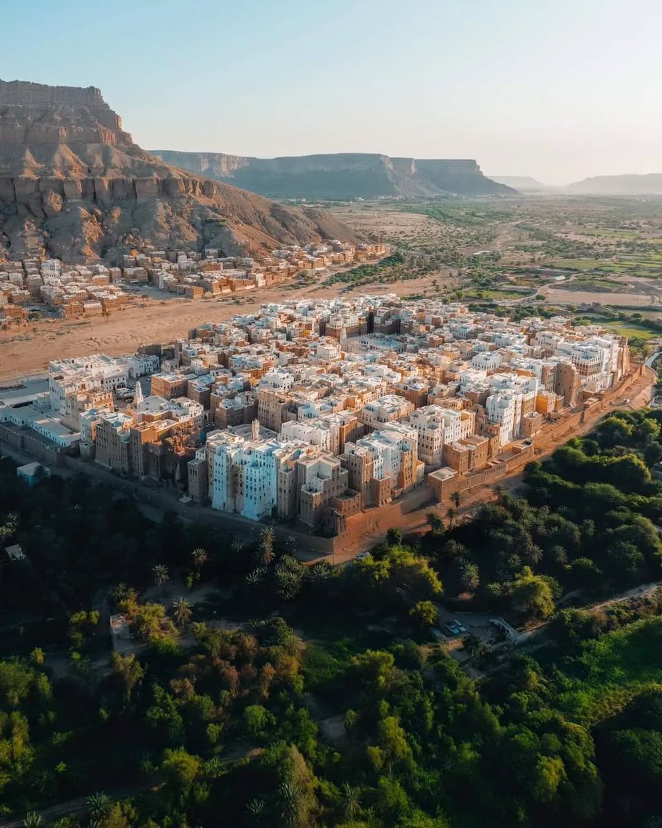 حميد ناصر السقاف tweet media