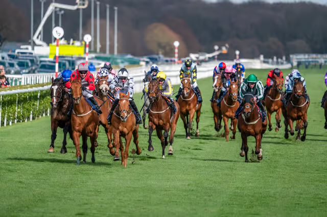 The Bookies Nightmare tweet media