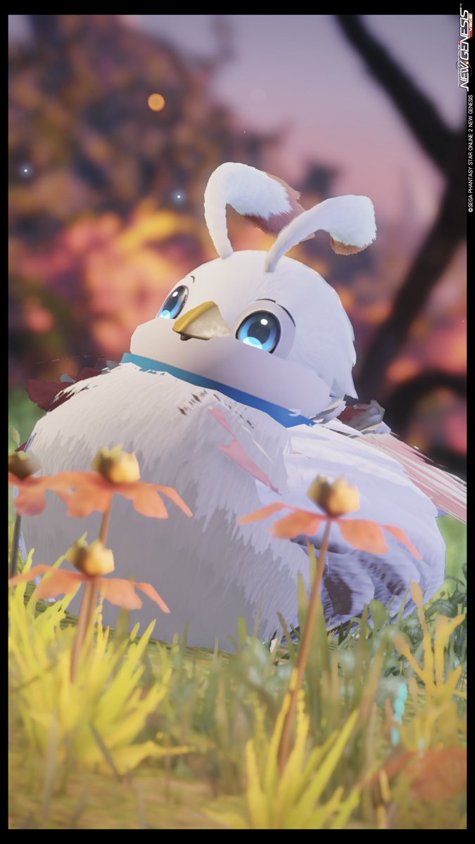 まりあん堂 tweet media