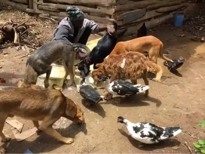 sengendo joseph3 tweet media