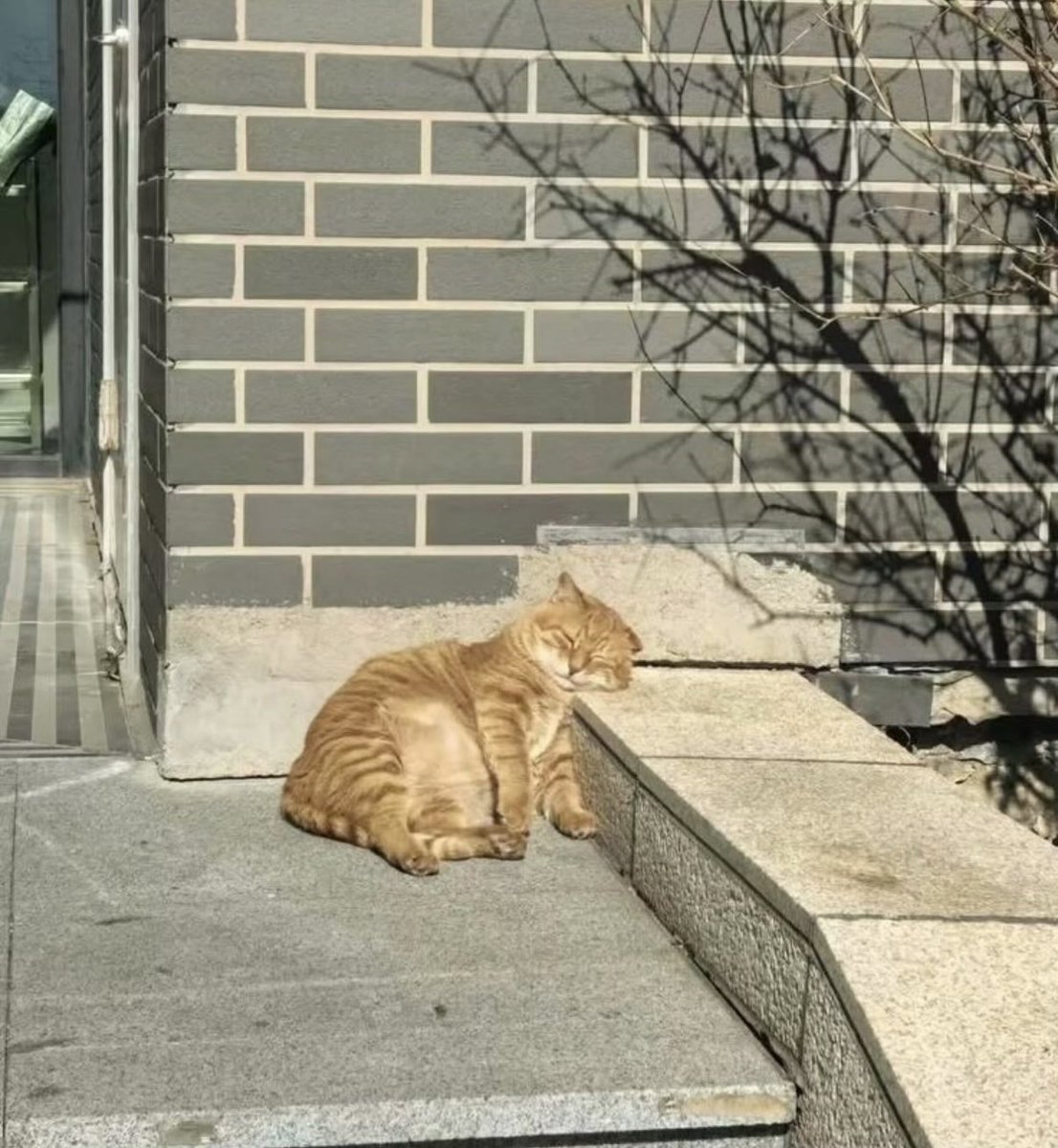 avgreplyguy tweet media