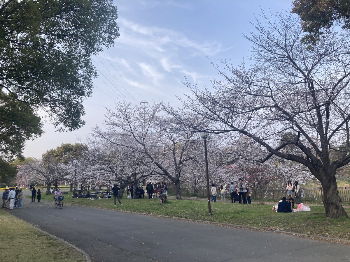 げしぺぱ tweet media