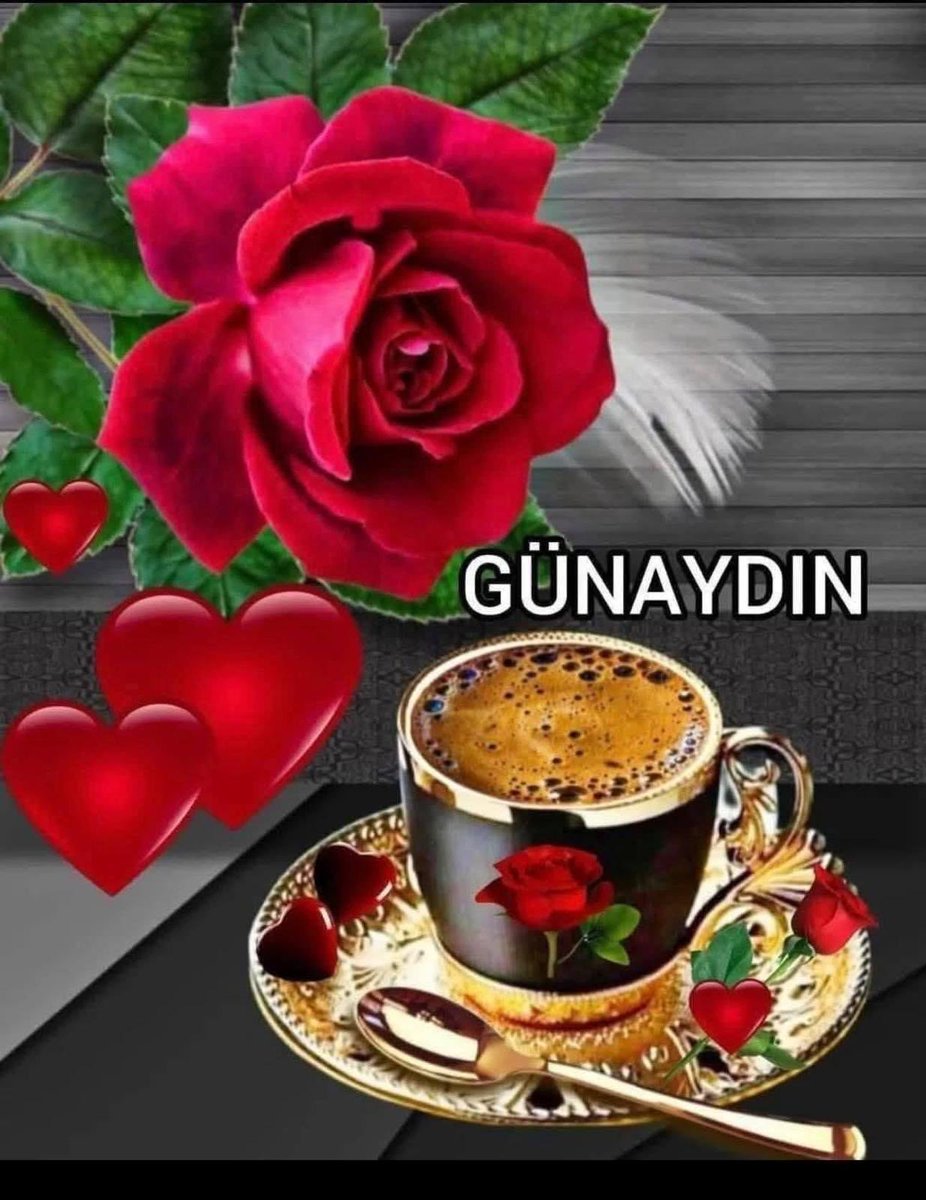 karakartal1903 tweet media