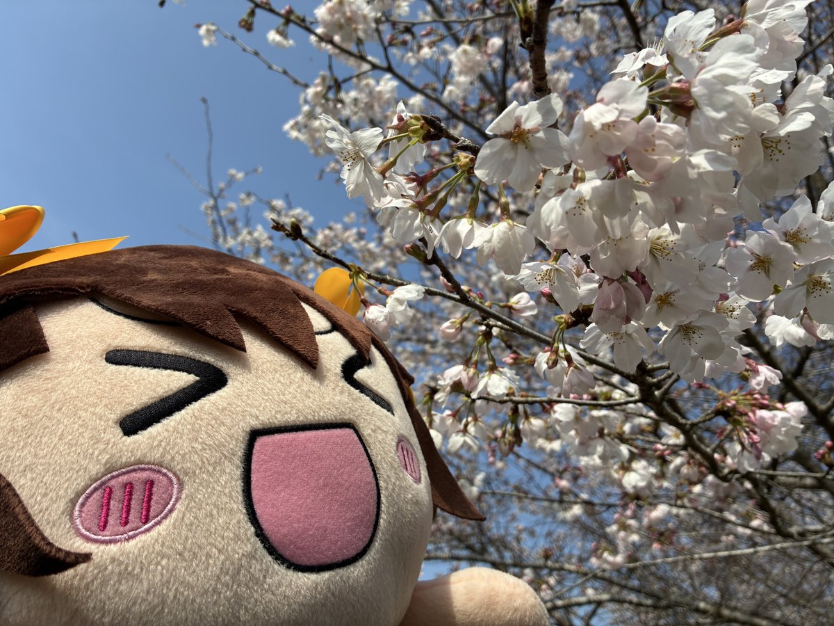 こにし🎗️ tweet media