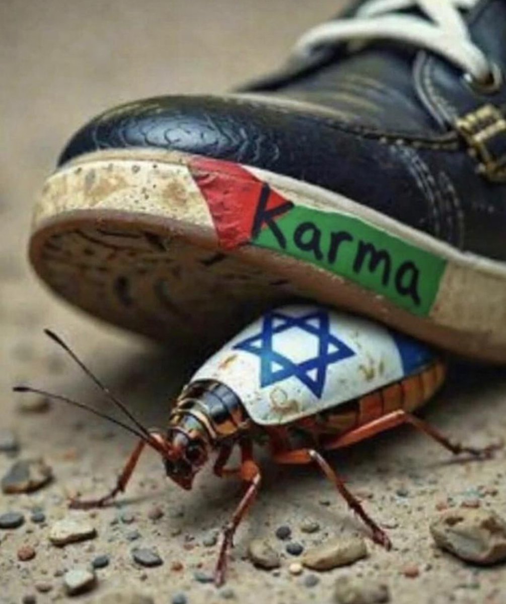 Manuel hernandez hernsndez tweet media