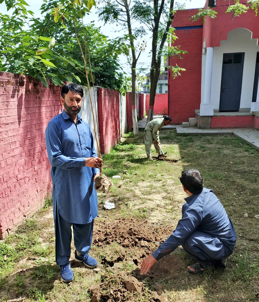 Usman Naeem tweet media