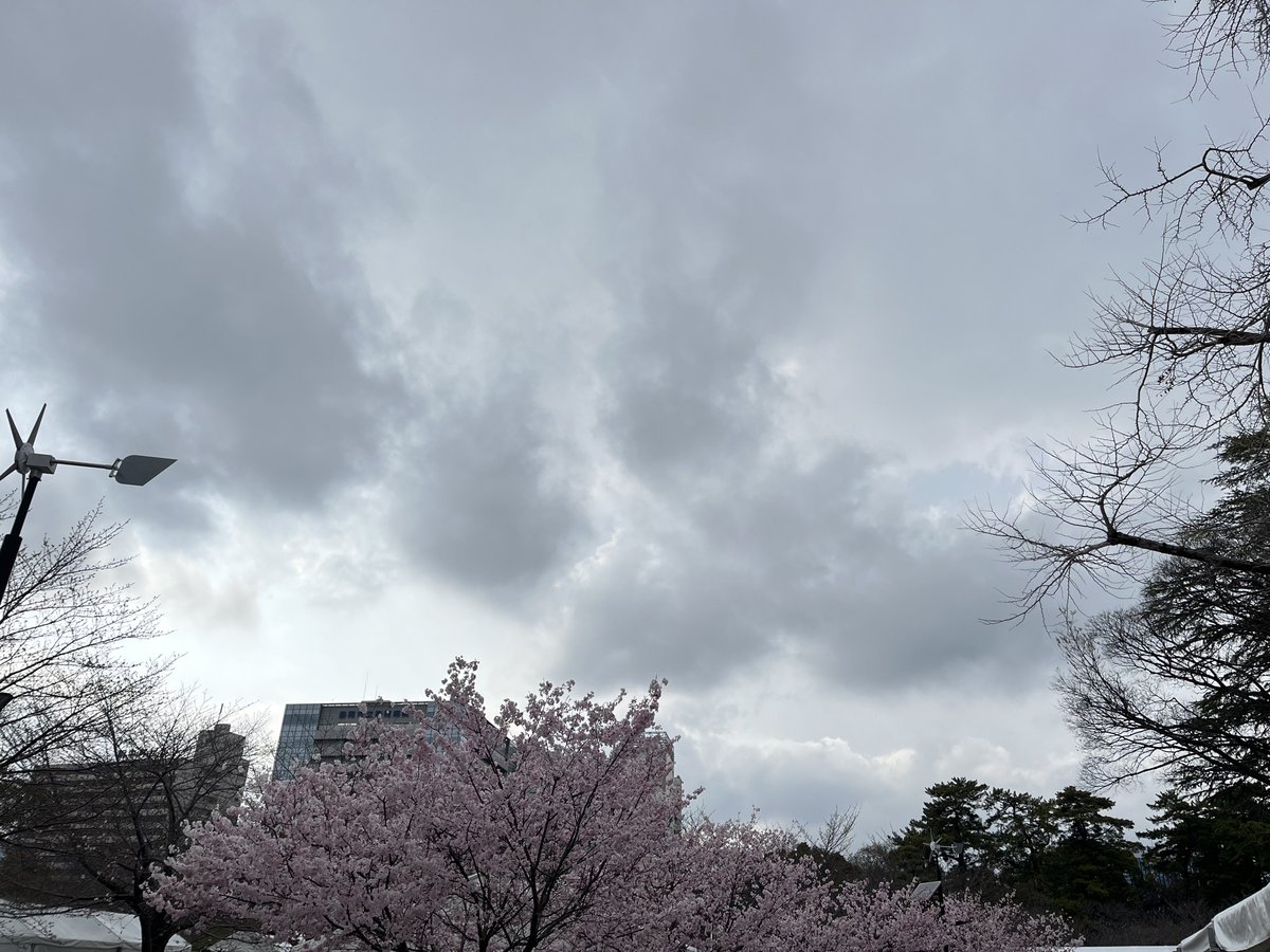 トゥール tweet media