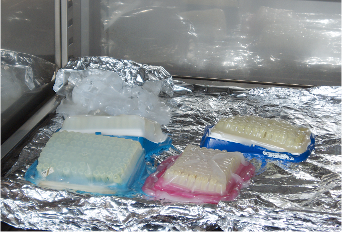 Satoshi Ohkubo 🧫市民科学🔬参加者募集中🌟 tweet media