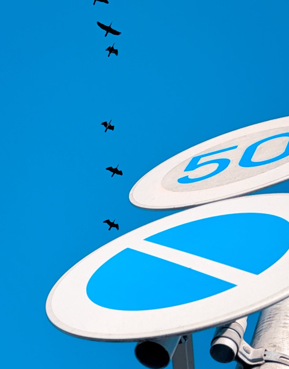 こういう写真の撮り方、私もすごく好き