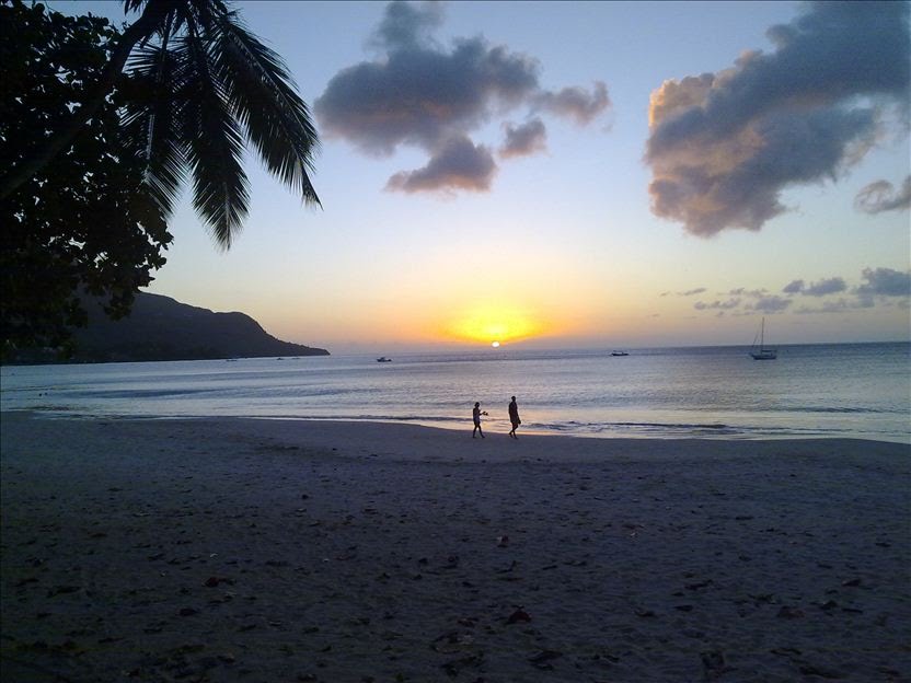 Backpacking Daku tweet media