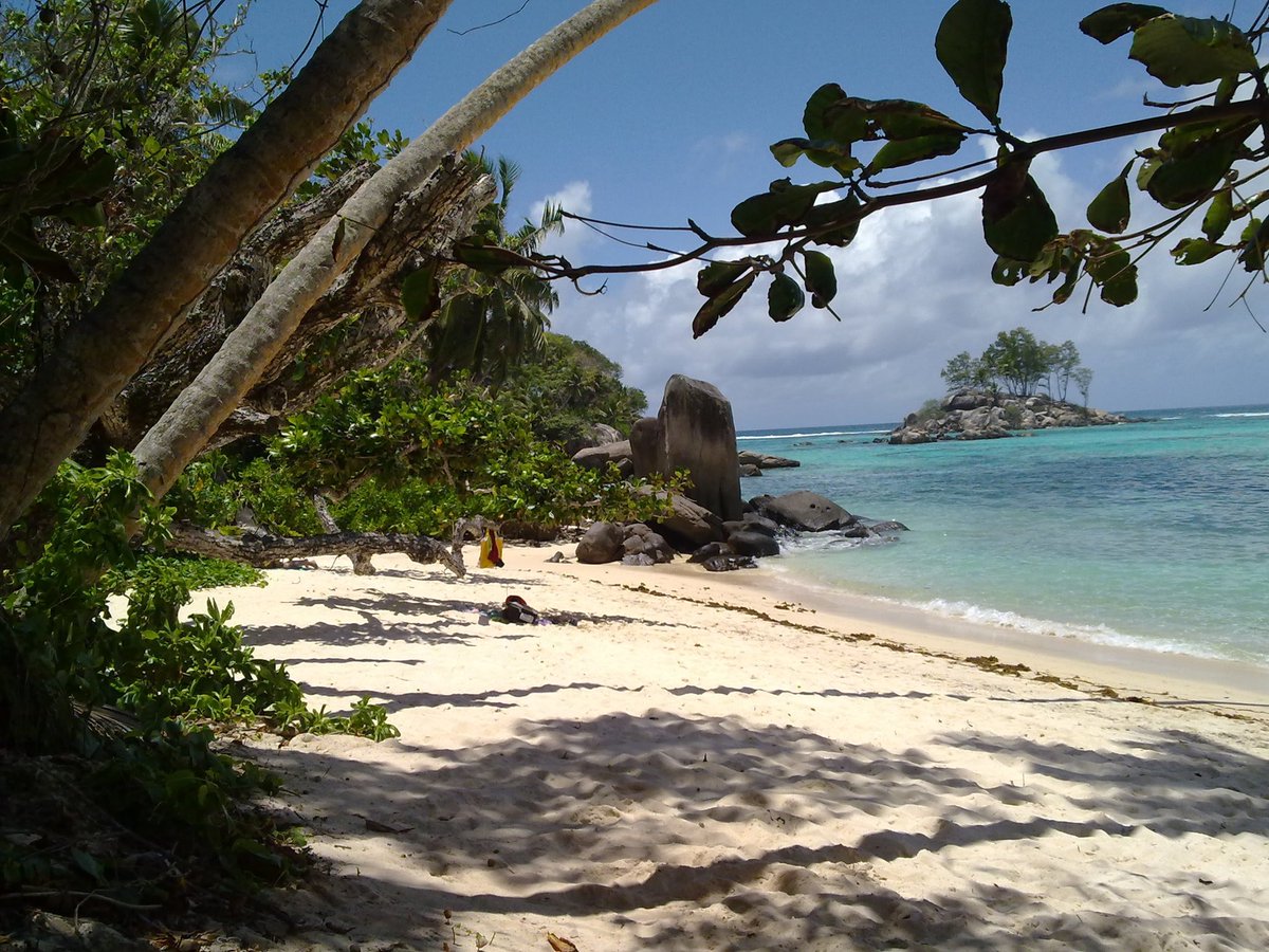 Backpacking Daku tweet media