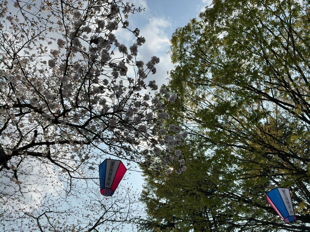 ネク．🍑🍀🍜🐱🇦🇶🌱🌼💐 tweet media