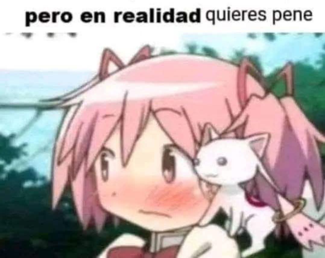 Abel Perez tweet media