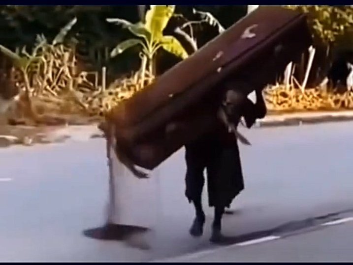 The_ Voice  tweet media