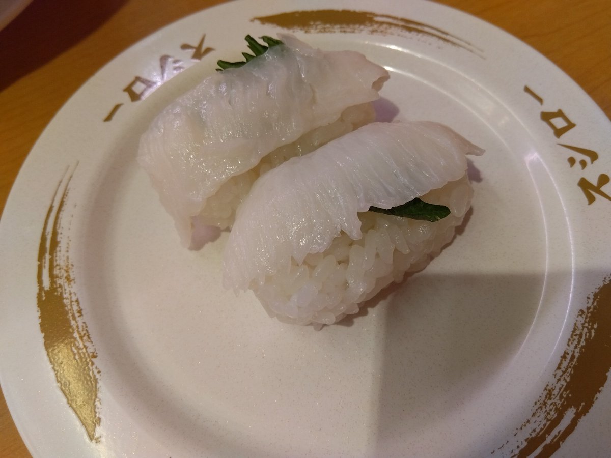 チワワの浩太＠うさむぎいぬもぐ tweet media