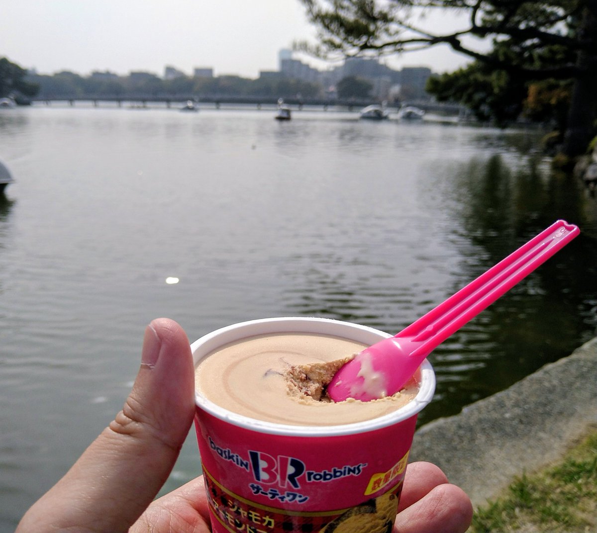 まー爺 tweet media