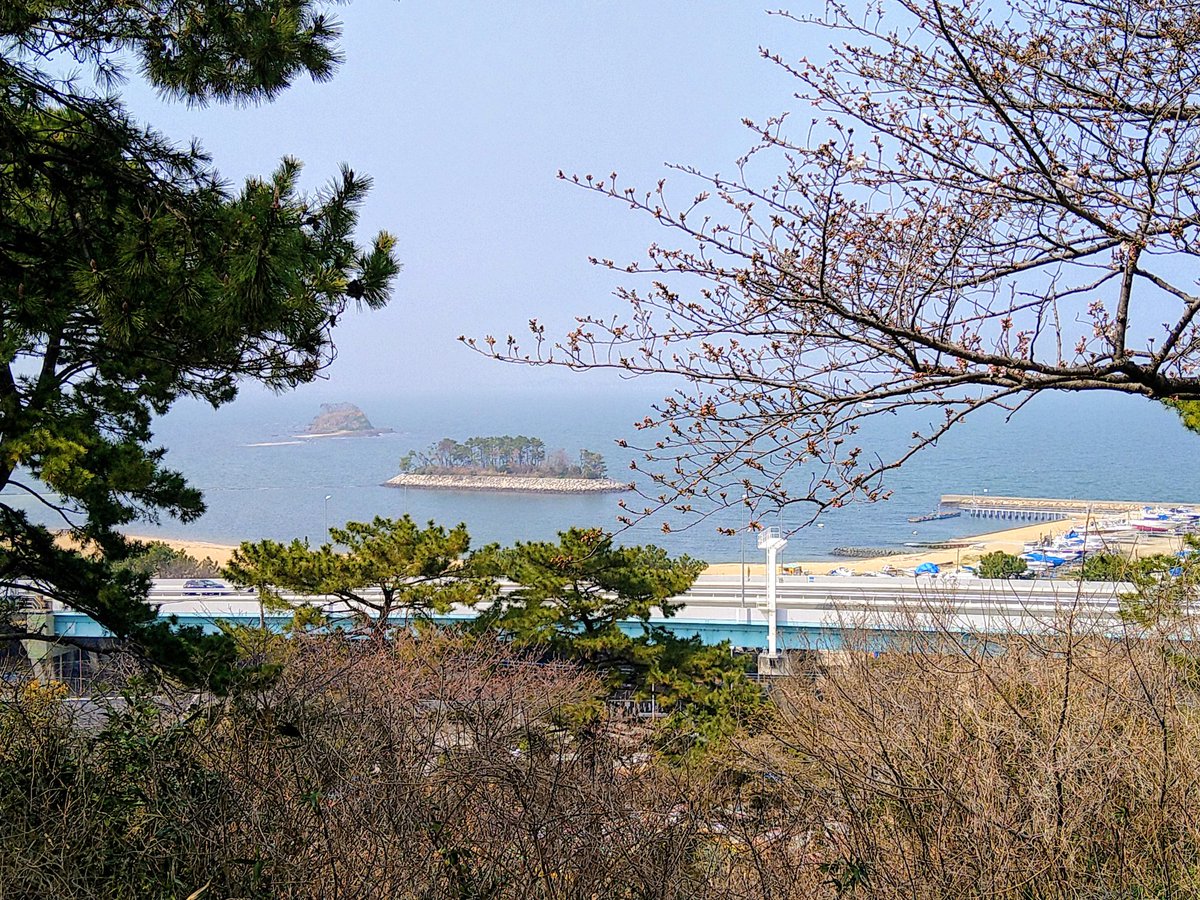 まー爺 tweet media