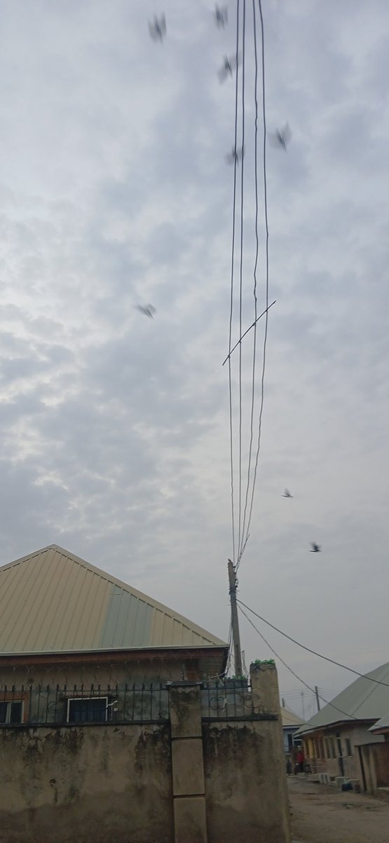 CryptVic⭕ tweet media