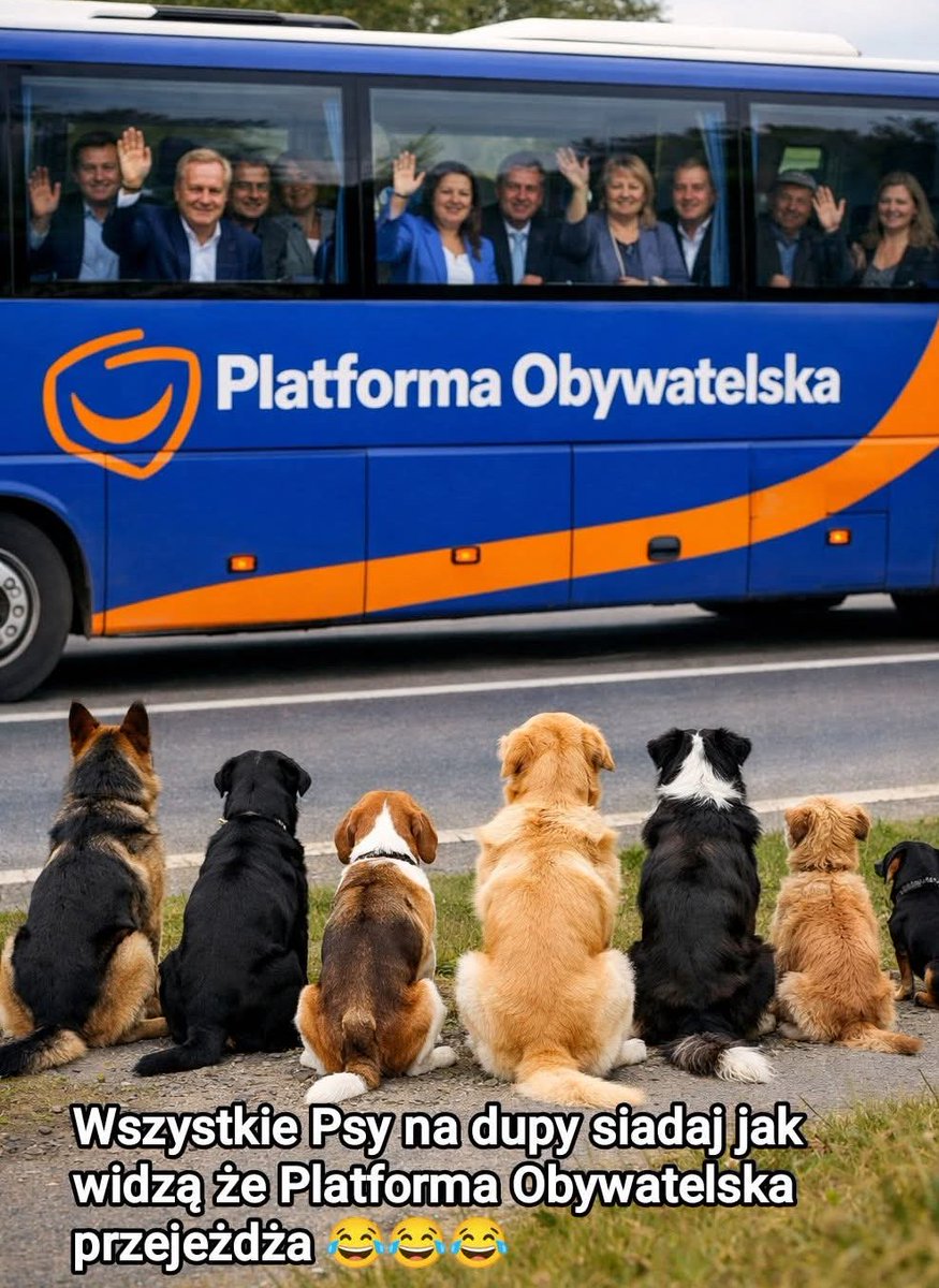 Tyle już memów o psach z Kłodzka było, ale każdy kolejny dobry...😁