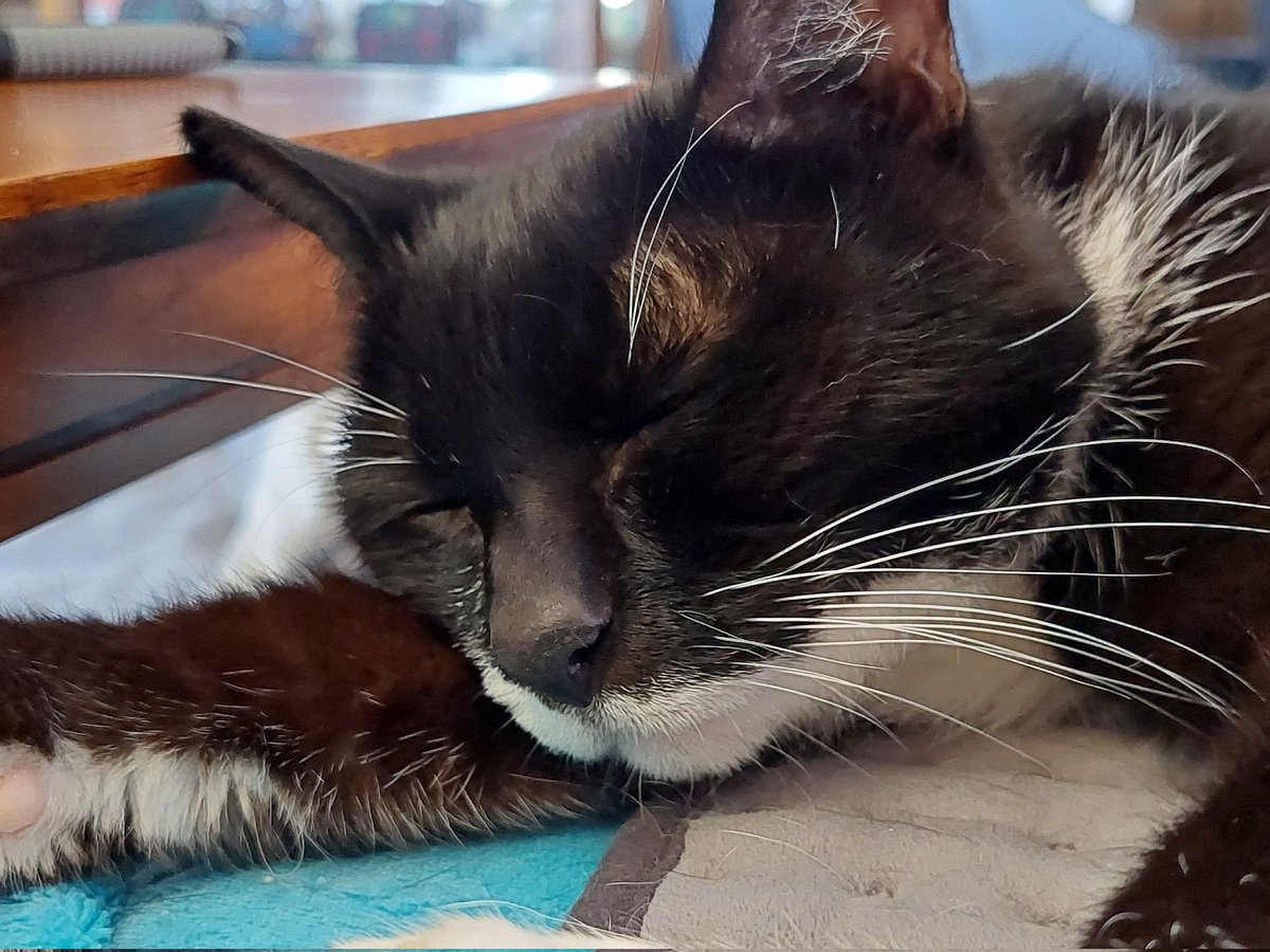 And our senior is nearing her end too.