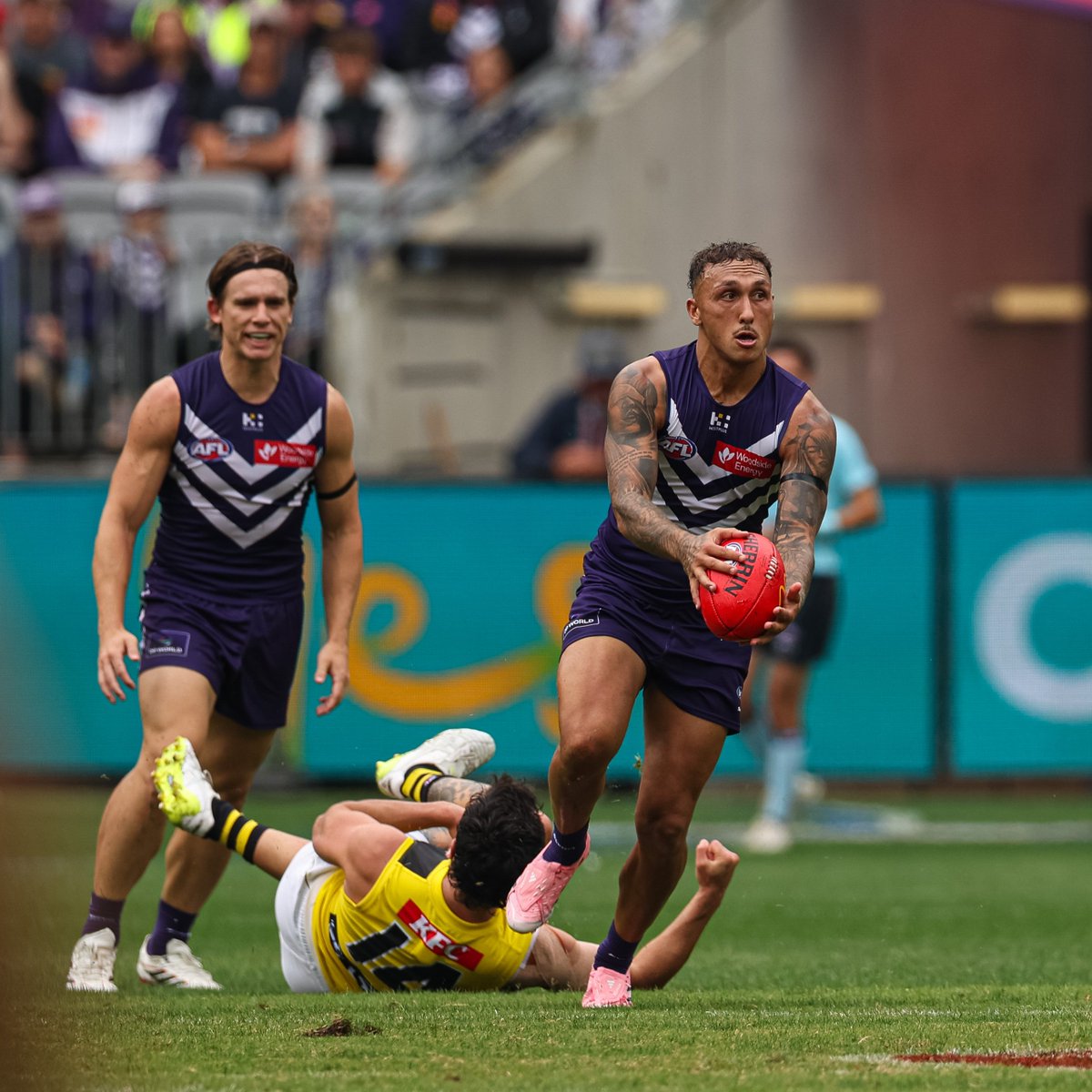 Fremantle Dockers tweet media