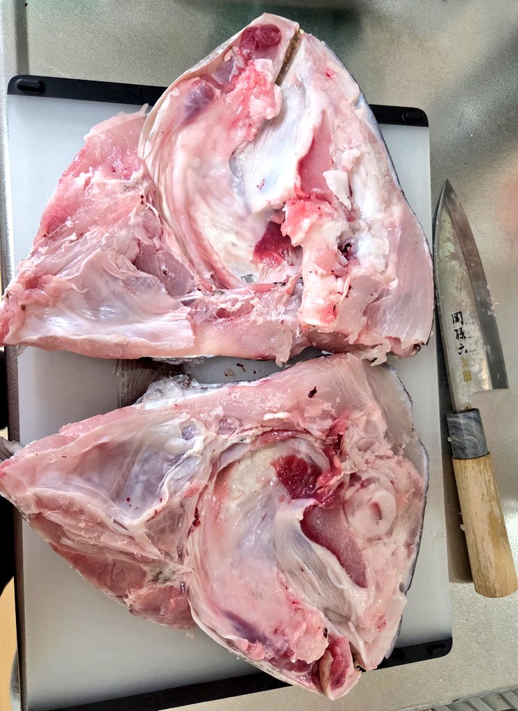 MOGUみん tweet media