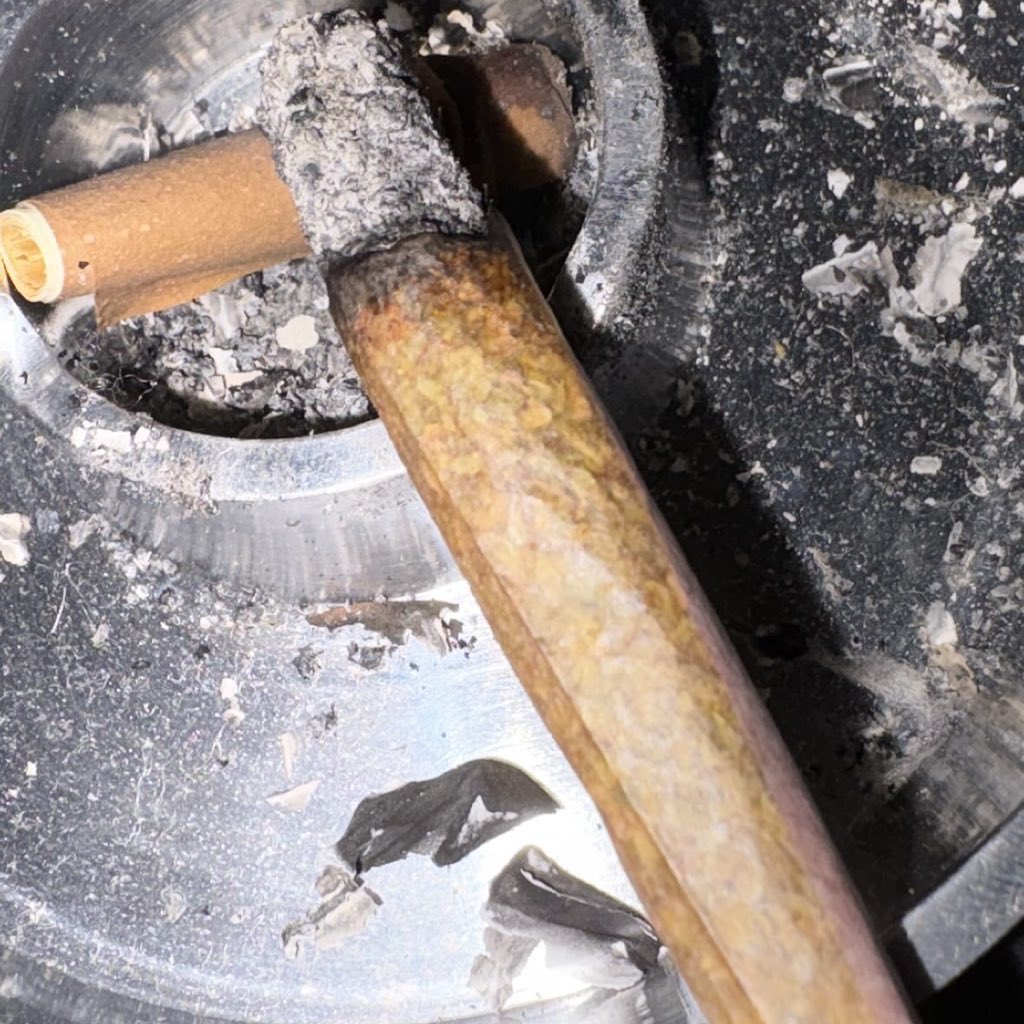 招き猫 tweet media