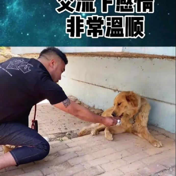 Lana Kruglova tweet media