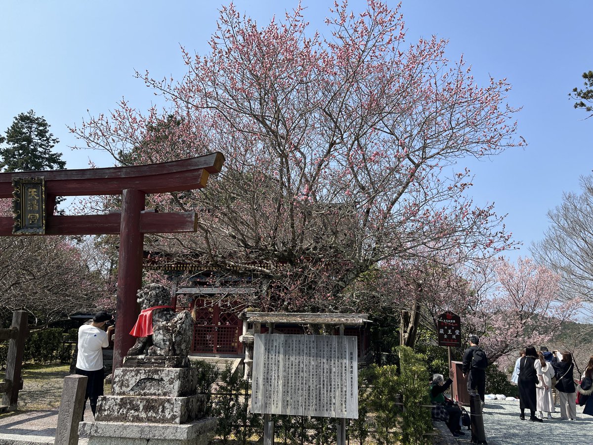 わんばん|自由で身軽な人生構築 tweet media