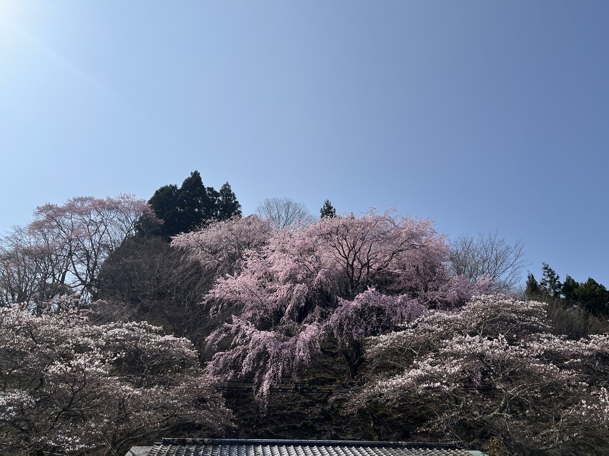 わんばん|自由で身軽な人生構築 tweet media