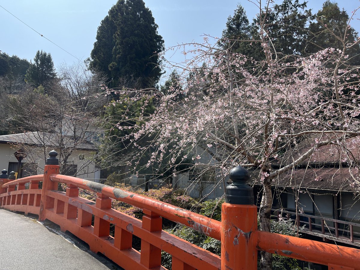 わんばん|自由で身軽な人生構築 tweet media