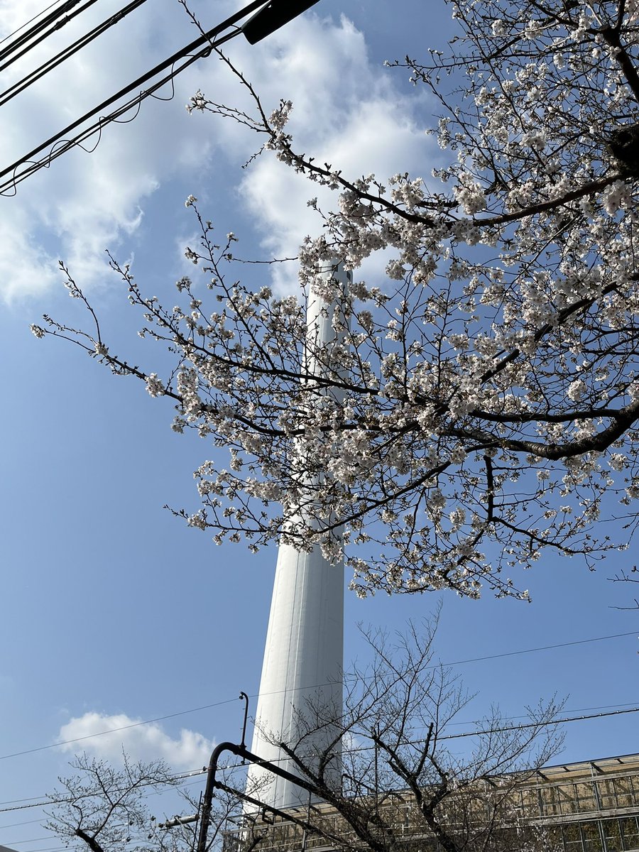 なべけい tweet media