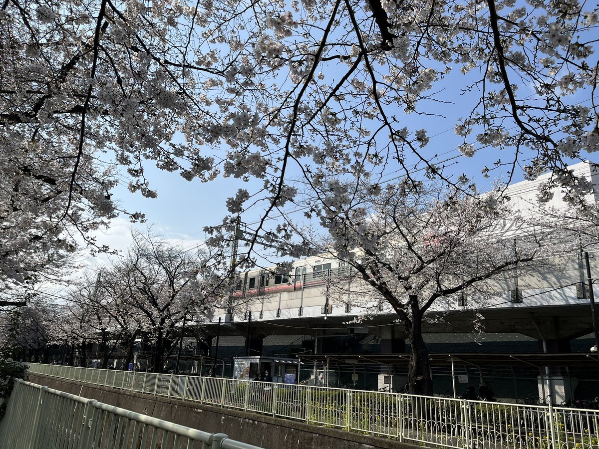 なべけい tweet media