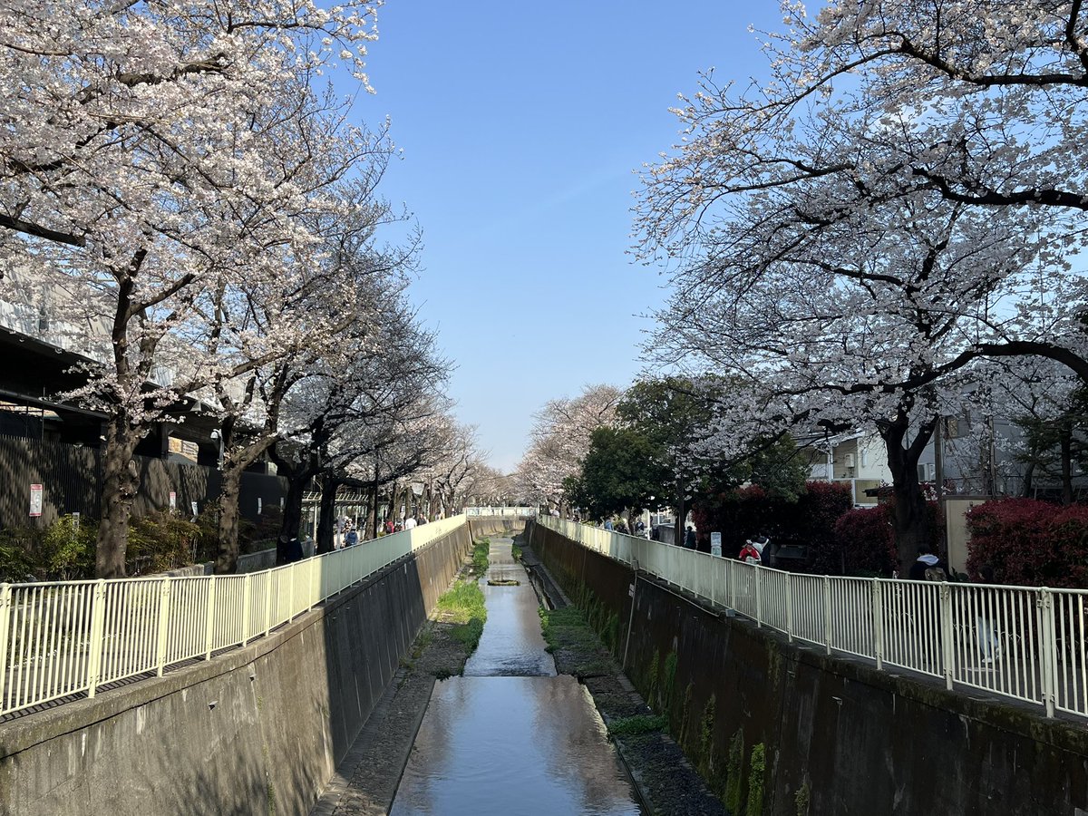 なべけい tweet media