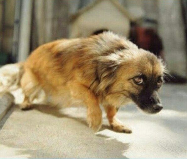 CHuRCHiLL🦅 tweet media