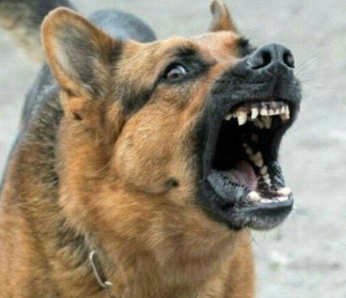 CHuRCHiLL🦅 tweet media